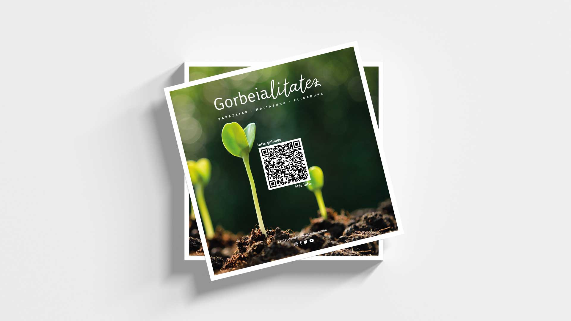 Diseño flyer
