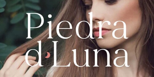 Diseño de logotipo.