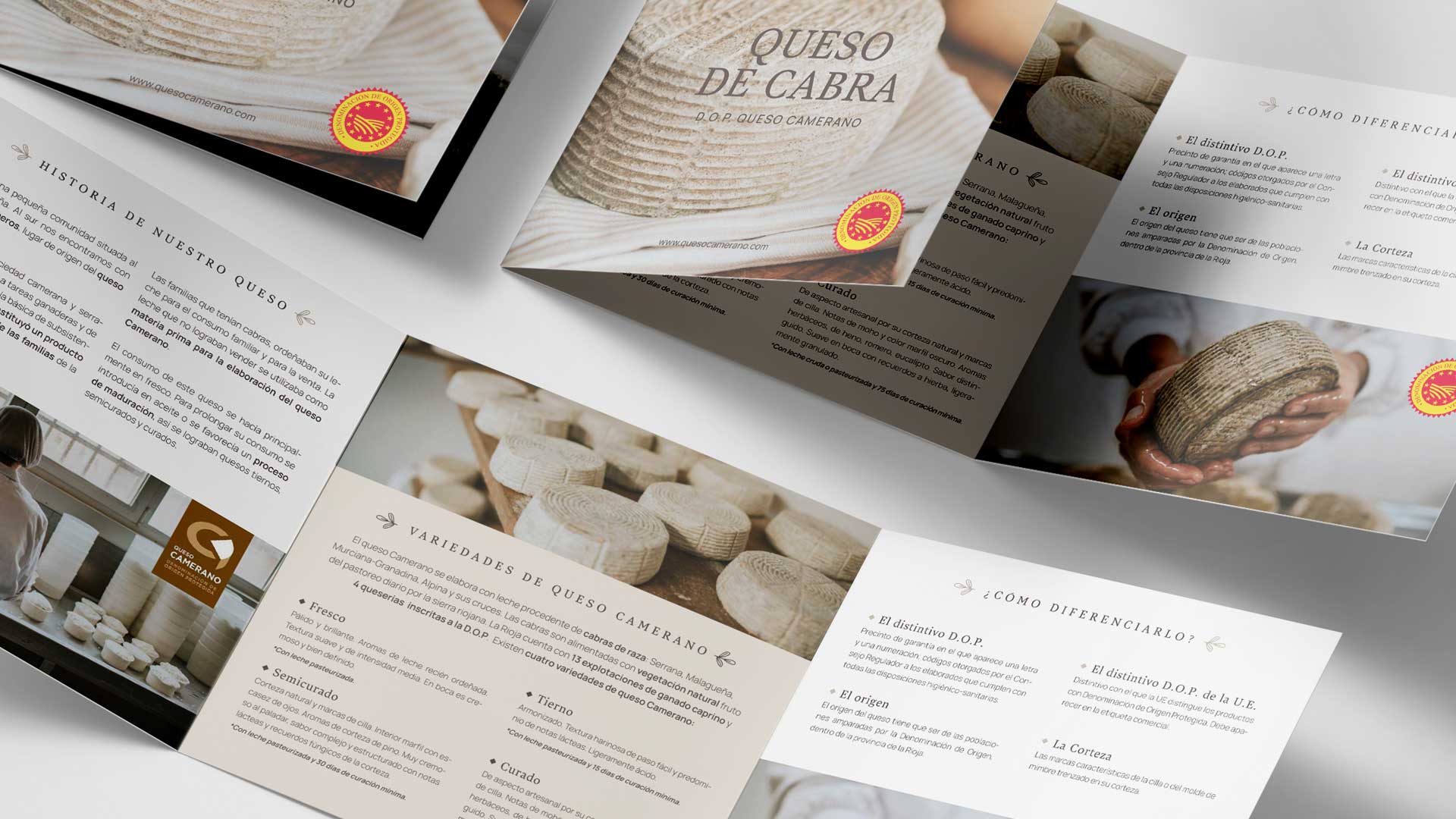 diseño-triptico-dop-queso-camerano-la-rioja-8imedia-2023